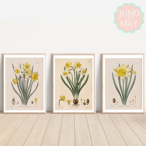 Set antique inspired - set,