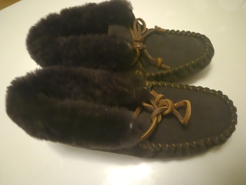 Emu australia brown burra - emu,