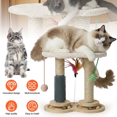 Cat scratching post scratch - cat,