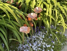 Copper Bee Drinkers - Set Of 3