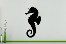 Seahorse Marine Fish Aquatics