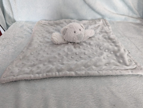 Blankets and beyond teddy bear - blankets,