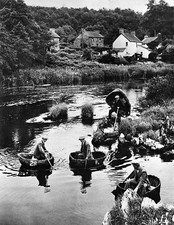 Willow hazel rods are bent