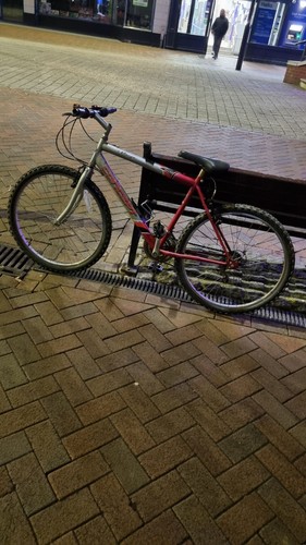 Grey man bicycle - grey, bicycle.