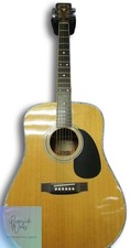 K.YAIRI Acoustic Guitar YW500P