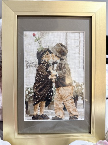 Completed framed needlework - completed,