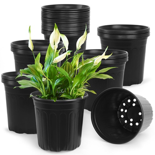 Pcs gallon nursery pots - pcs,