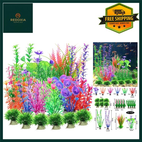 Vivid aquarium fish - vivid,