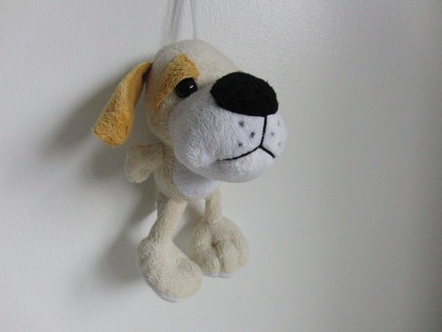 Basset hound puppy dog - basset,