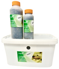 Dragonfli Lacewing Larvae -