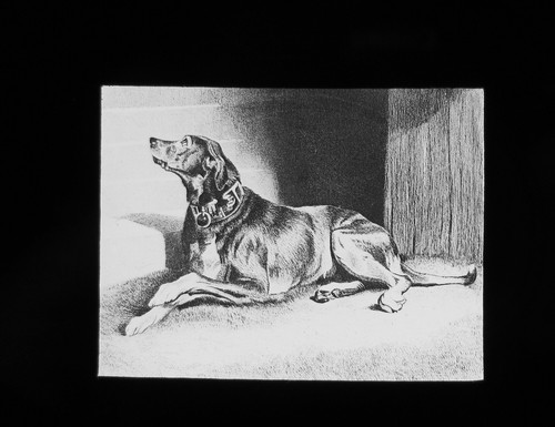 Glass magic lantern slide - glass,