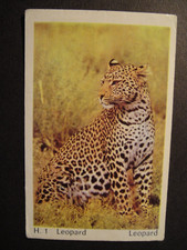 DANDY GUM WILD ANIMALS DANISH