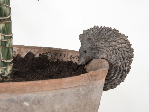 Fallen fruits hedgehog - hedgehog, pot