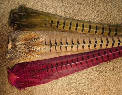 Hen pheasant full - clump, dyed