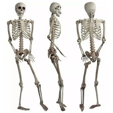 165cm life size - 165cm, human
