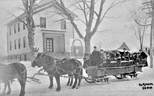 Horse drawn sleigh - horse,