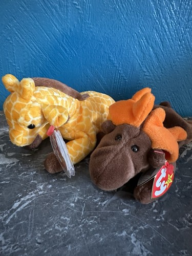 Beanie babies moose - 2, babies-