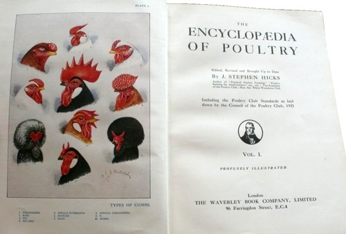 Poultry encyclopedaedia hicks - poultry,