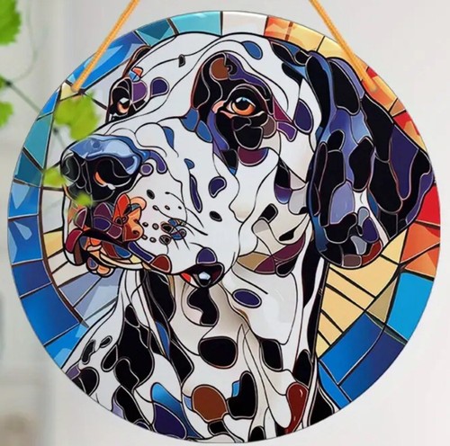 Sale dalmatian large - sale!❤️,