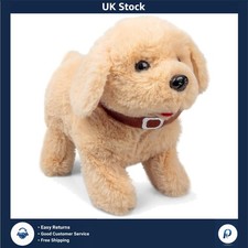 Adorable Flipping Labrador