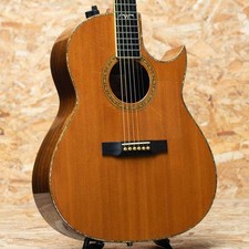 Larrivee C-10 Sea Horse 1990