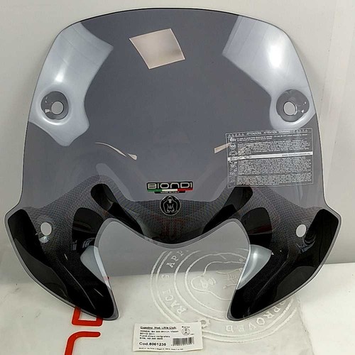 Honda 300 2011 biondi - sh,