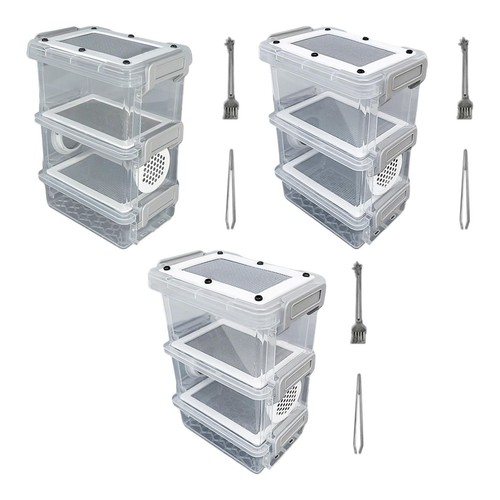 Roach feeding box comfortable - roach,