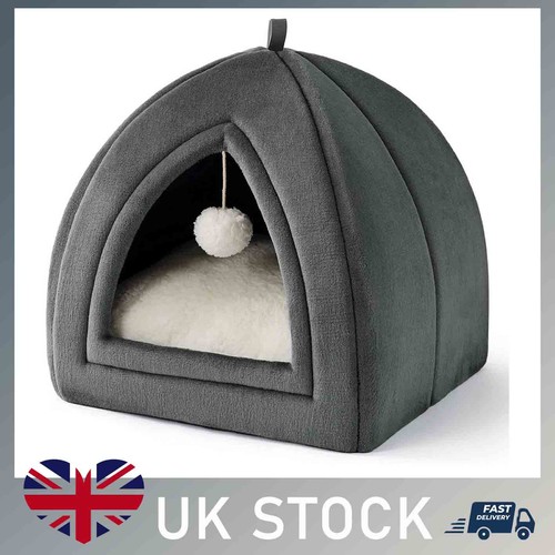 Soft grey pet cat - soft,