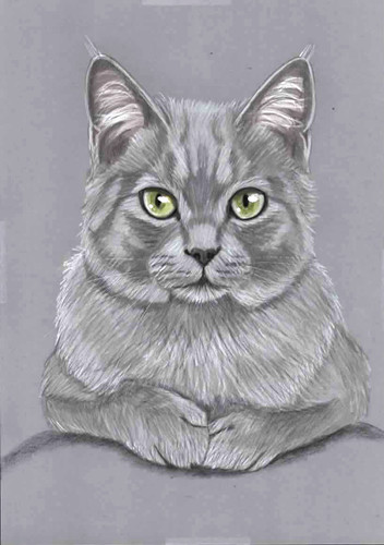 Original colour pencil artwork