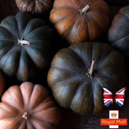 Pumpkin seeds sweet - 8,