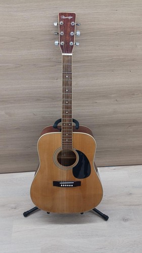 Blueridge acoustic - blueridge,