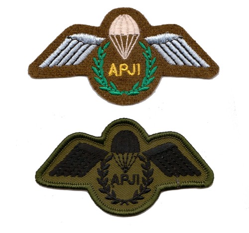 Official army parachute jump - army,