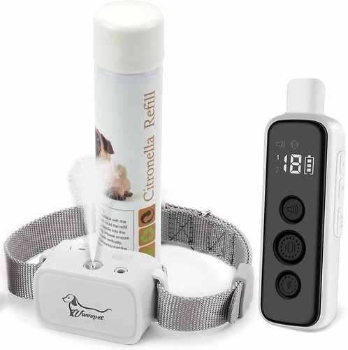Citronella dog training collar - dog,