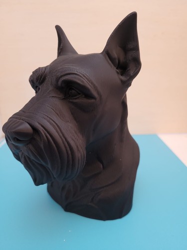 Schnauzer bust ornament - bust,