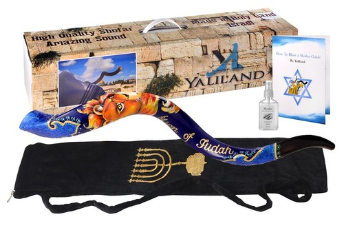 Shofar set painted - set,