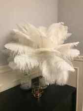 10 x Ostrich Feathers Wedding
