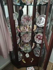 Mahogany Glass Display Cabinet