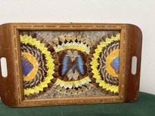 Vintage Brazilian Butterfly Wing & Inlaid Wooden Tray Butterflies Brazil Rio