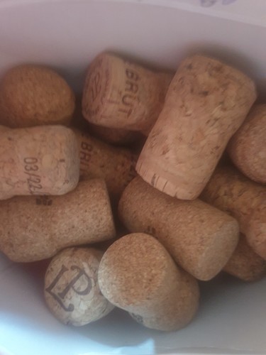 Used classic champagne - used,