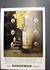 Antique Old Print Sandeman