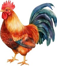 Rooster Kitchen Shop Wall Art