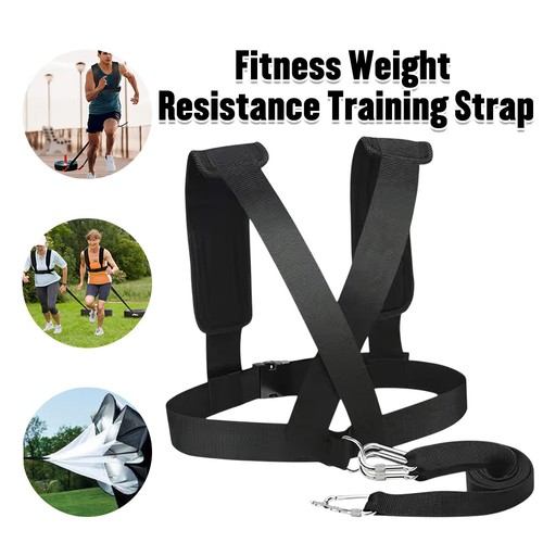 Fitness weight sled - weight,