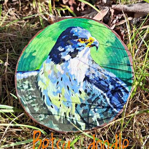 Hand painted peregrine falcon - peregrine,