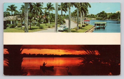 Florida palm trees sunset - trees, lake