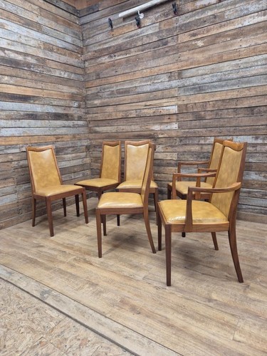 Plan fresco dining - g,