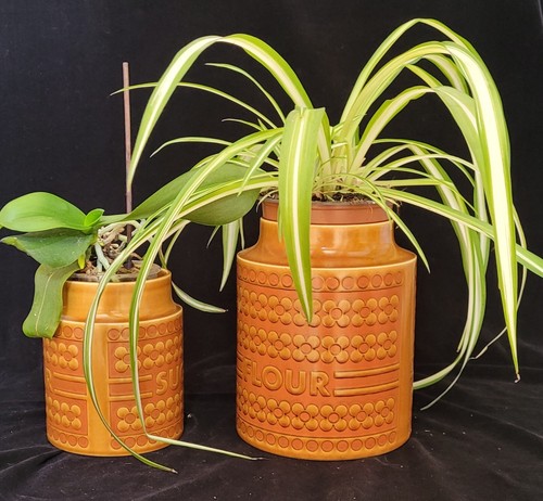 Two hornsea saffron jars - two,