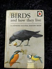 Ladybird Birds And How They Live