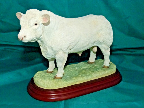 Border fine arts standing - border,