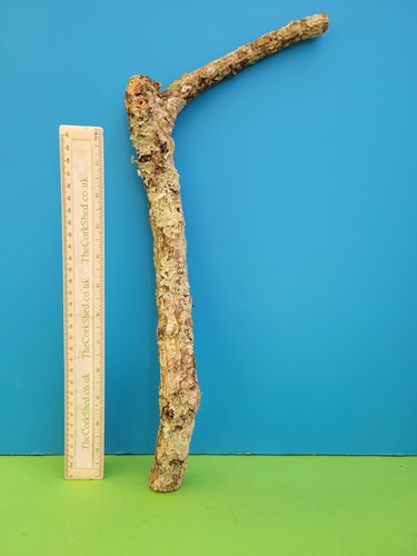 Cork bark branch 43cm - cork,