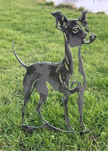 Italian greyhound - italian,